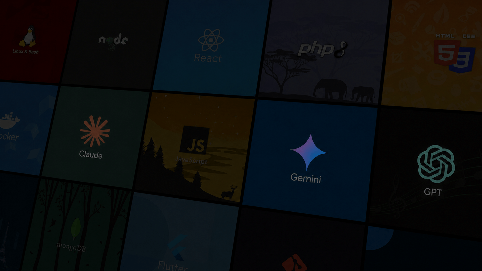 Présentation de la plateforme Dyma